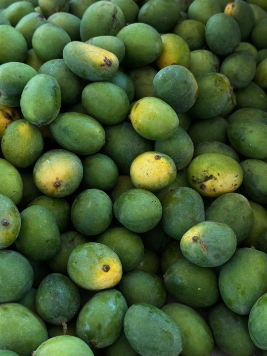 Mango1.jpg